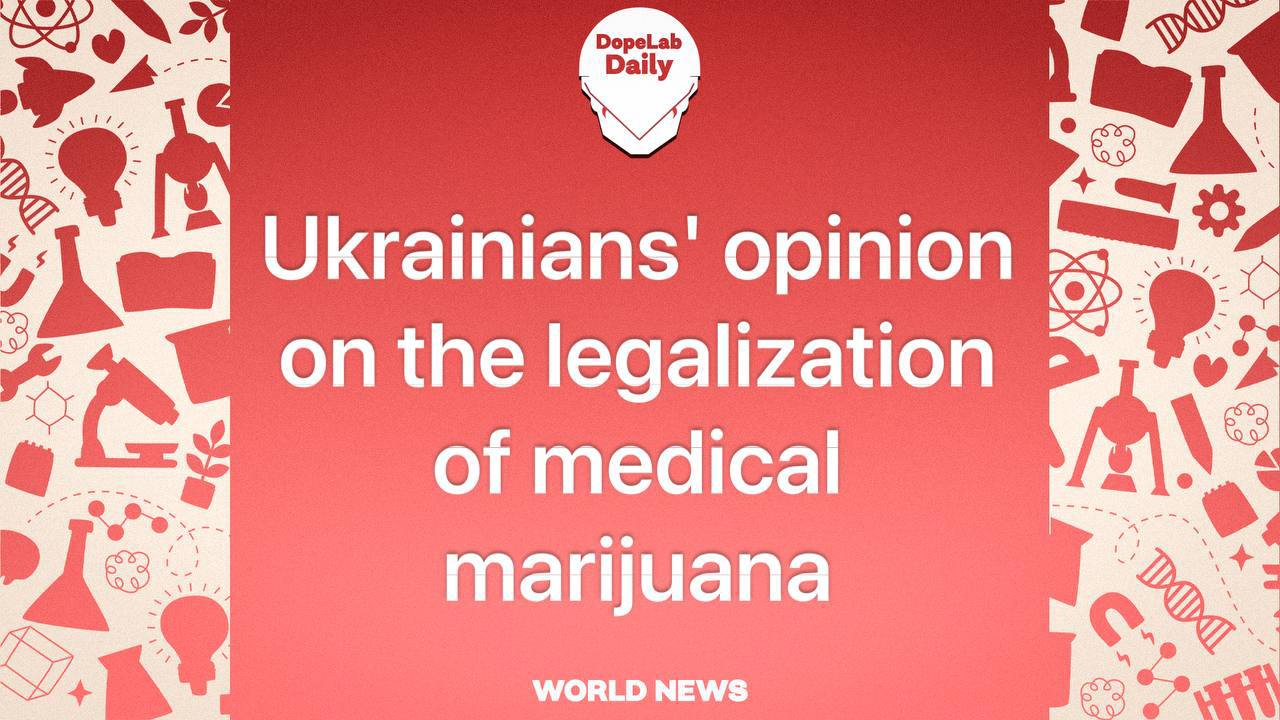 mega маркетплейс мориарти